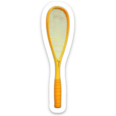 Raquette de squash sticker