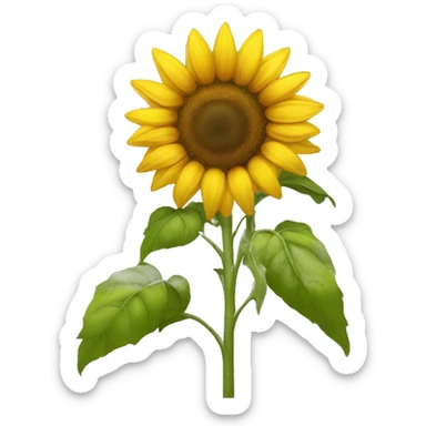 sunflower sticker