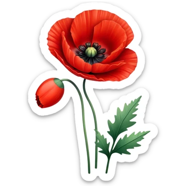 poppy  sticker