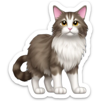 grey and brown norweigian forest cat walking profile furry bushy tail long whiskers furry and fluffy white front and back paws eyes a pink dark brown edged nose small triangular ears sticker
