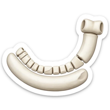 Detached jawbone lying cracked on the ground. sticker