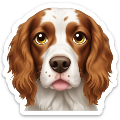 Long hair Brittany spaniel with spots sticker