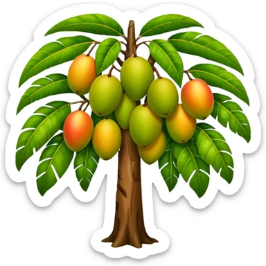 Mango tree, very less mangos, big and heavy leafs, more leafs. sticker