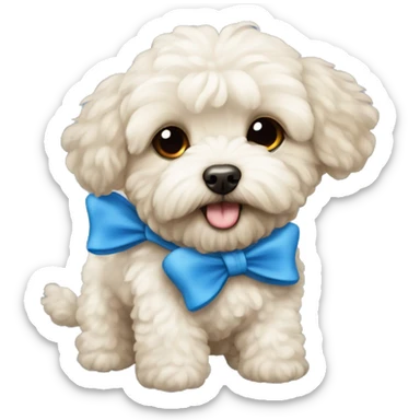 Maltipoo with a blue bow sticker