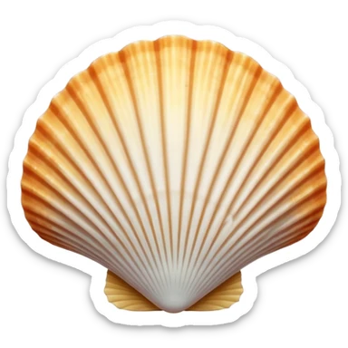 Scallop shell sticker