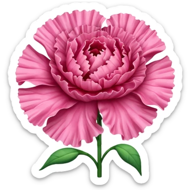 Carnation flowers  sticker