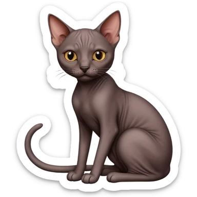 Dark hairless cat sitting sticker