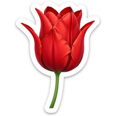wilted tulip sticker