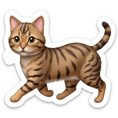 Cute grey and brown bengal cat running sticker