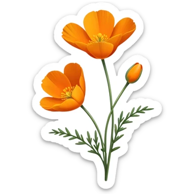 single Eschscholzia californica, straight stem sticker