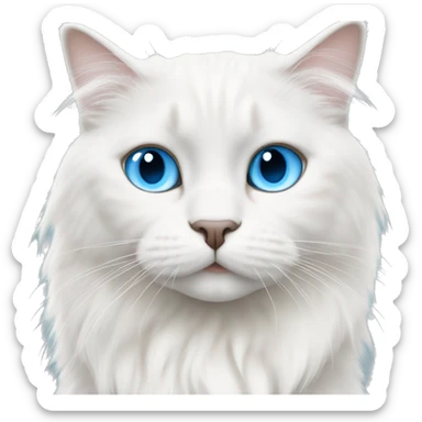 All White Ragdoll cat whit blue eyes walking  sticker