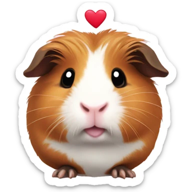 guinea pig with heart sticker