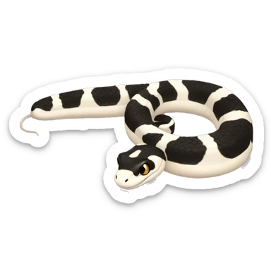 Pied Snake curled up sticker