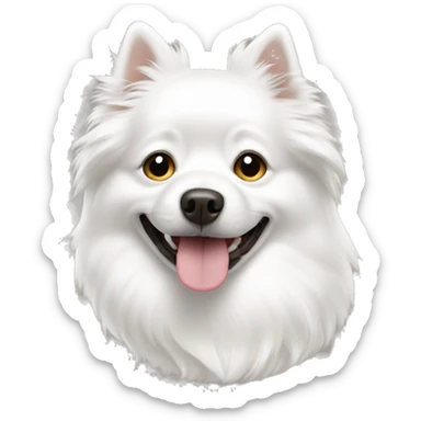 dog, white spitz sticker