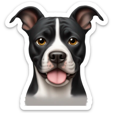 Dog american Stanford and pitbull negro con mancha blanca en el morro sticker