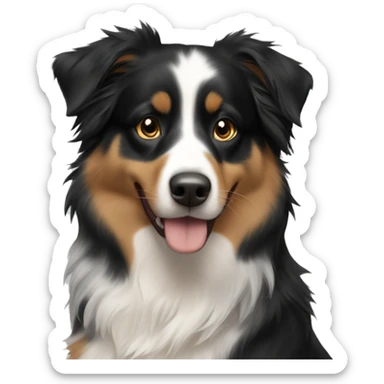 australian shepherd black tri with blonde girl sticker
