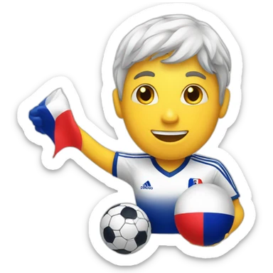 French soccer supporter sticker