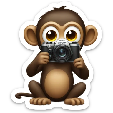 Monkey with camera sticker