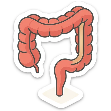 intestine in 2D isometric style, minimalist background, soft shadows and highlights, transparent background, variant with emphasis on thin section sticker