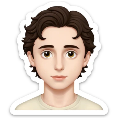 Timothee chalamet sticker