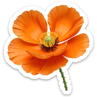 icelandic poppy sticker