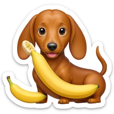 Perro salchicha comiendo banana sticker
