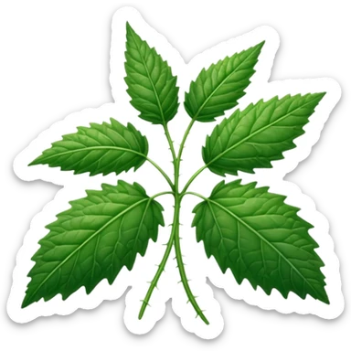 stinging nettles sticker