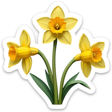 Daffodils flower  sticker