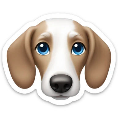 White wiener dog with gray and brown fur on face and bright blue eyes sticker