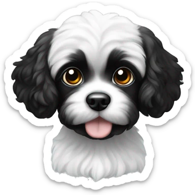 Black and white shichon puppy with a black face  sticker