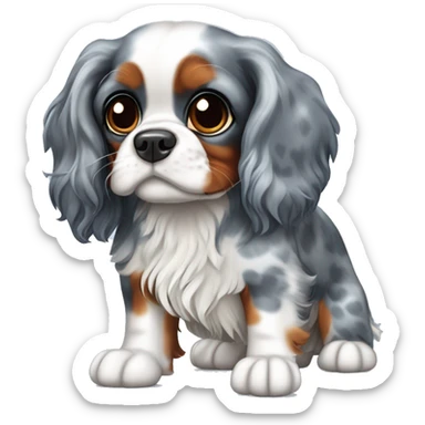 cavalier king charles spaniel blue merle sticker