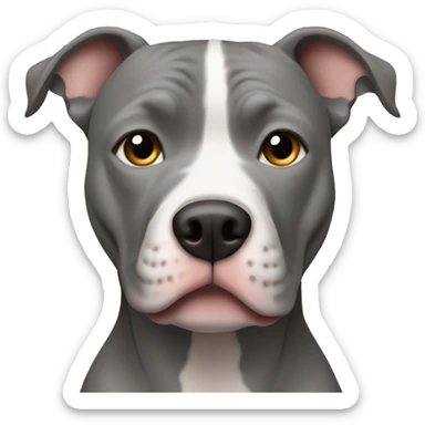full face grey pitbull sticker