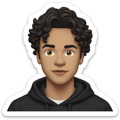 Conan Gray is an American singer-songwriter and former YouTuber. Born in Lemon Grove, California, and raised in Georgetown, Texas, he began uploading dark hair, long short rockstar light sticker