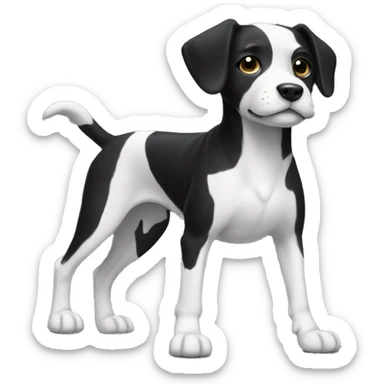 dog black with white on the first two legs and white on the chest sticker