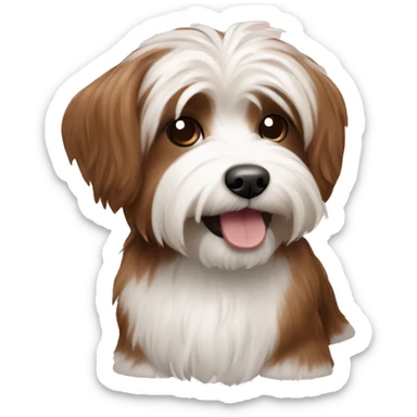 Havanese dog red sticker
