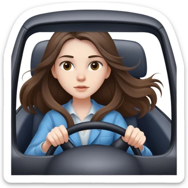 beautiful pale brunette girl with long hair driving car fast sticker
