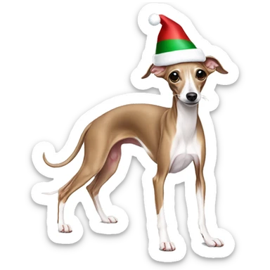 Italian greyhound stretching with a Christmas hat sticker