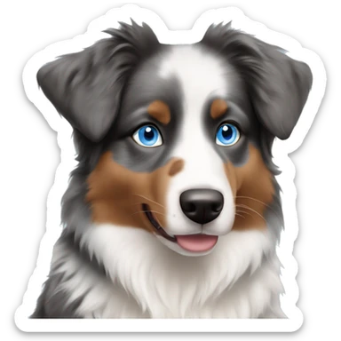 Australian shepherd with ice blue eyes  sticker
