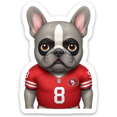 Fat gray French bulldog in 49ers uniform  sticker