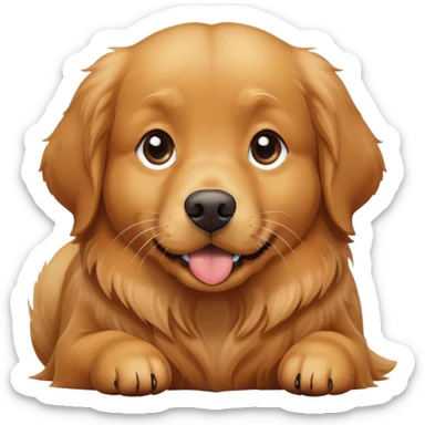 Golden retriever laying down begging for a treat  sticker