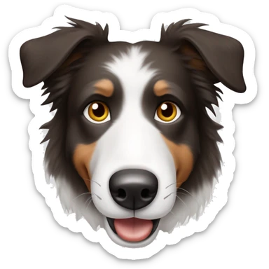Bordercollie mit braunen und grauen stellen im weißen Gesicht. Spitze Ohren. Ohren weiß und unterer Teil mehr grau und braun  sticker