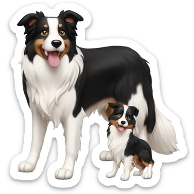 Border collie dog with Papa blond and mama black curls sticker