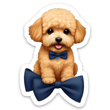 apricot maltipoo sitting on a large pumpkin wearing a navy blue bow tie sticker