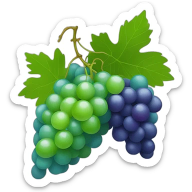 green and blue color grapes sticker