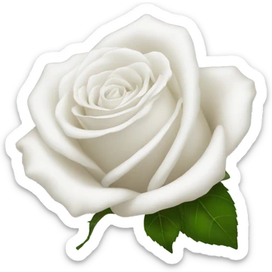 White rosses sticker