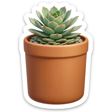 A ceramic pot in pastel caramel color, in the shape of a cylinder, the pot is tall, it has an echeveria ruffle succulent plant sticker