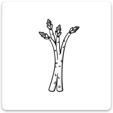 white asparagus, hand drawn doodle style, sketchy lines, black and white sticker