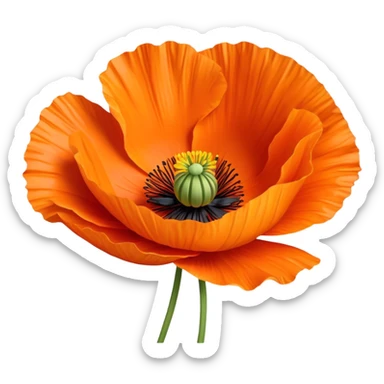 Orange poppy flower sticker