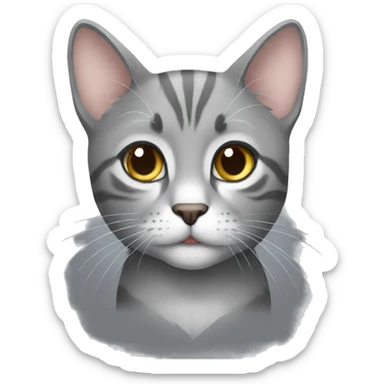 gray 🐱 sticker