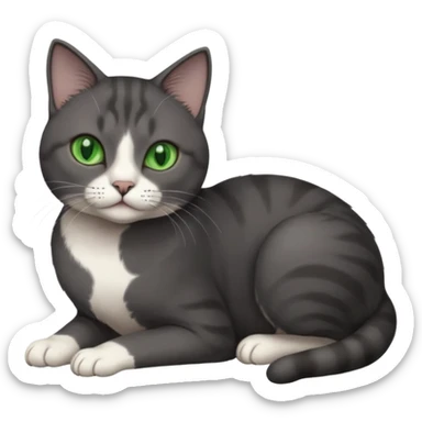 beautiful female solid dark grey cat with green eyes, white toes/paws and white patch on her chest rolling over sticker